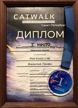 дипломы11
