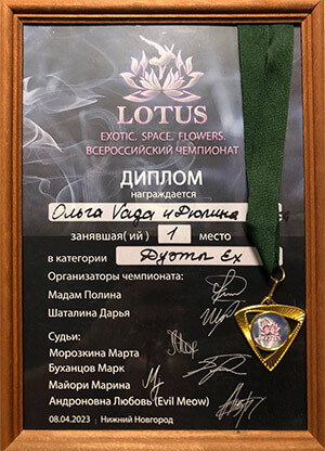 дипломы15